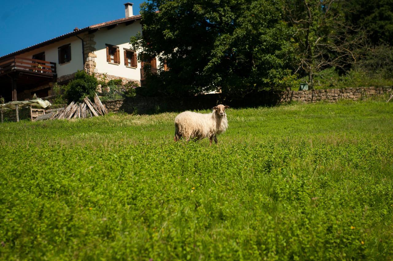 Casa Peluaga Pensionat Oiartzun Eksteriør billede